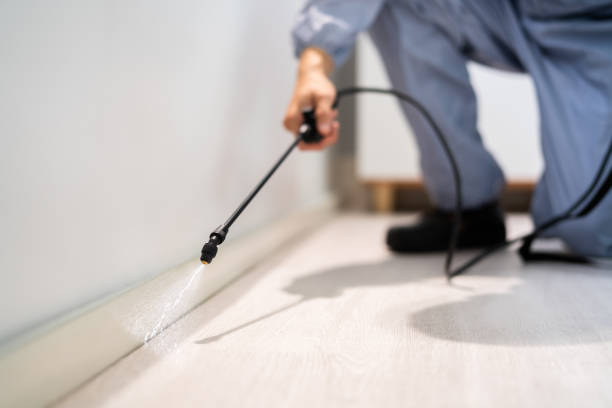 Licensed Fumigation Services service in Caroline County County, VA - Nex Pest Control